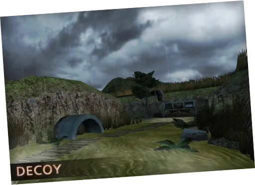 Decoy